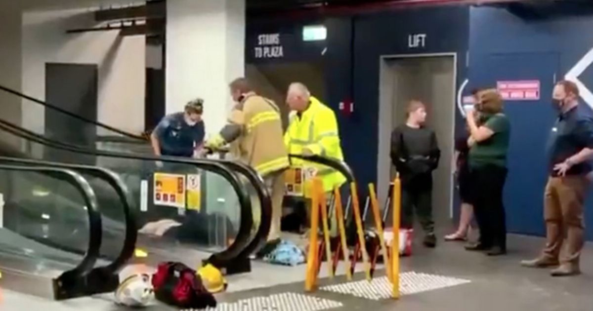 Clown Throwing Pie On Escalator